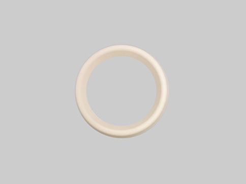 Ceramic Ring