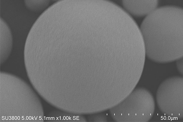 Companion's Qualified Granulatio Powder