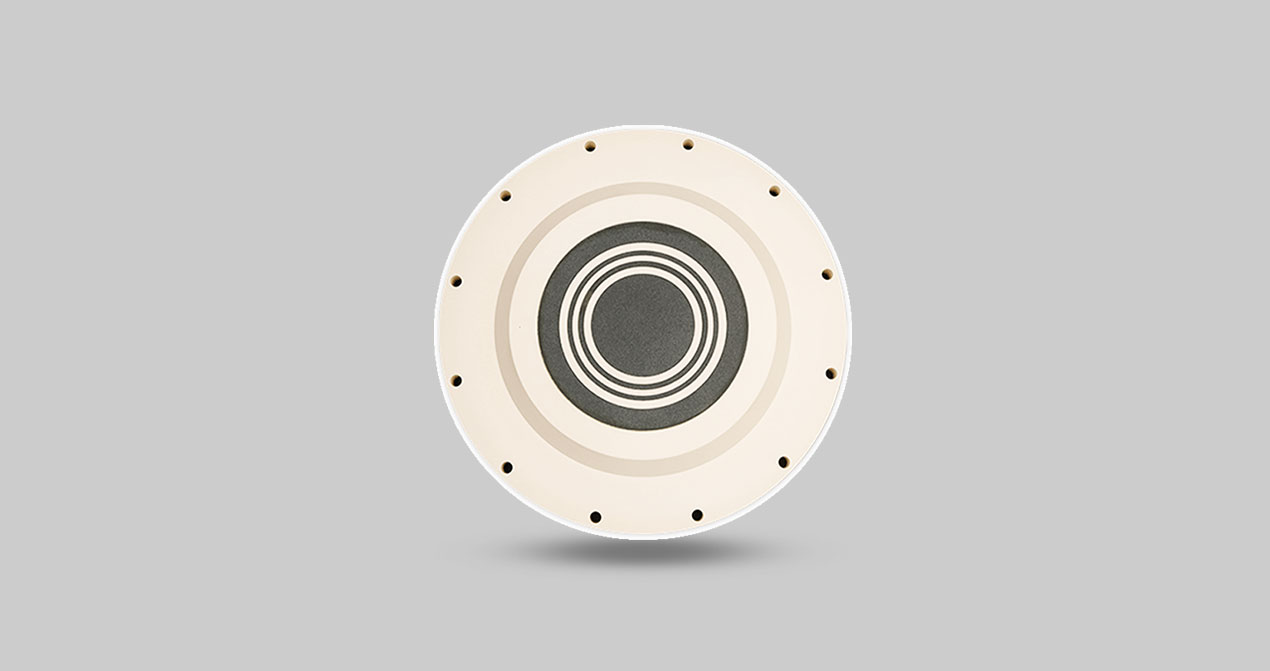 Ceramic Vacuum Chuck-2