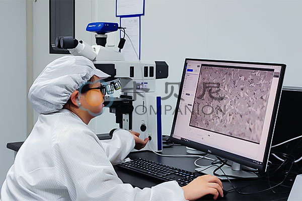 Companion quality inspection team at work